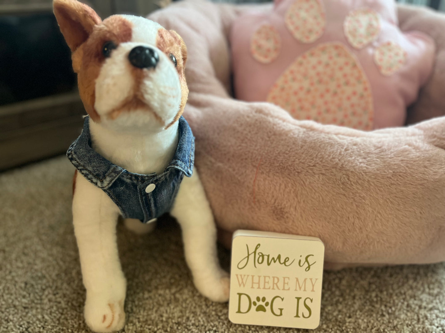 Girl gang - Dog’s denim vest