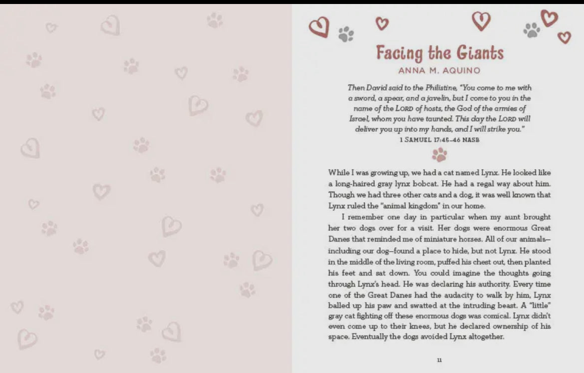 Devotional for Cat Lovers