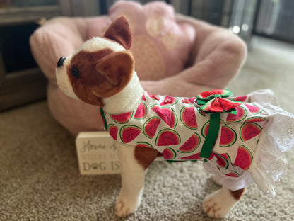 Watermelon harness dress
