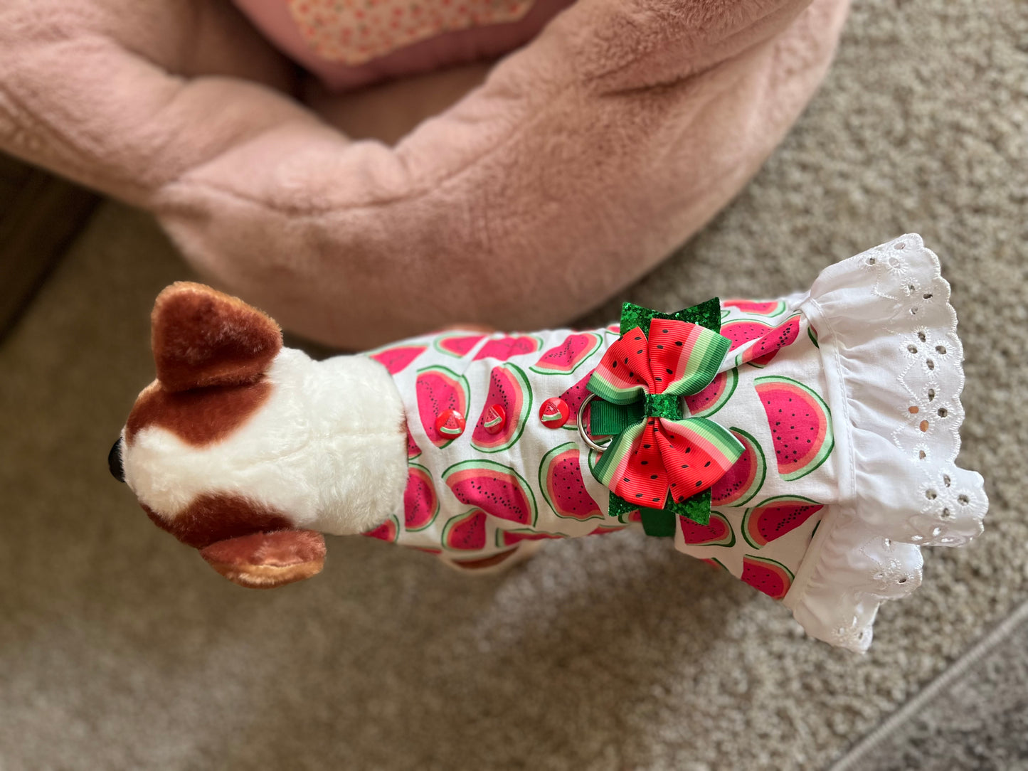 Watermelon harness dress