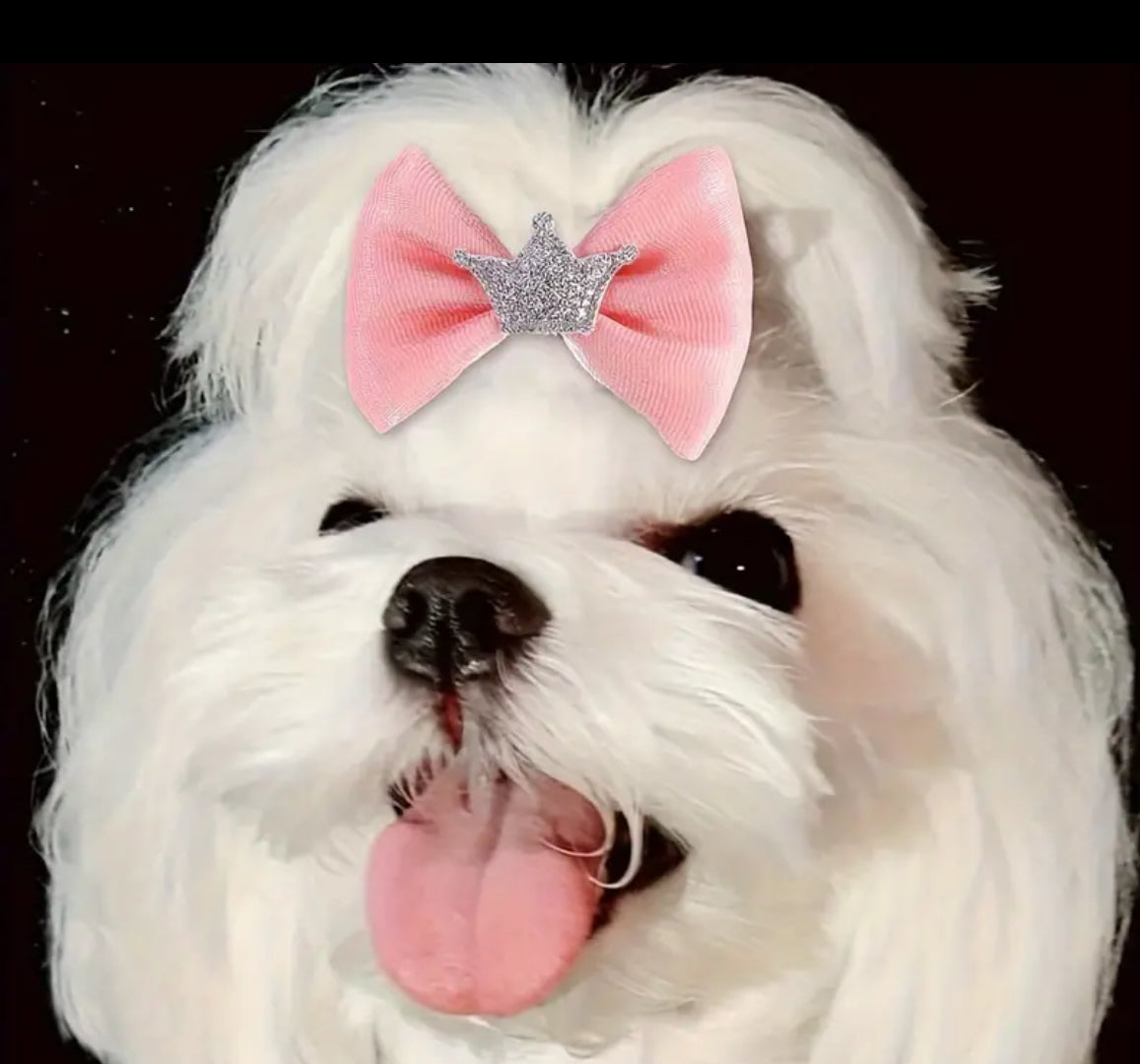 Hair Bows - Ribbon and Crown
