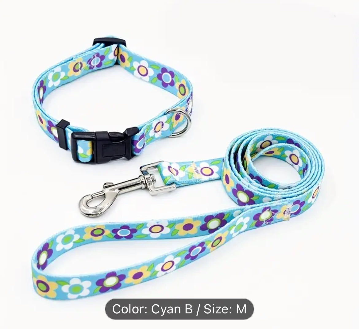 Collar and Leash set