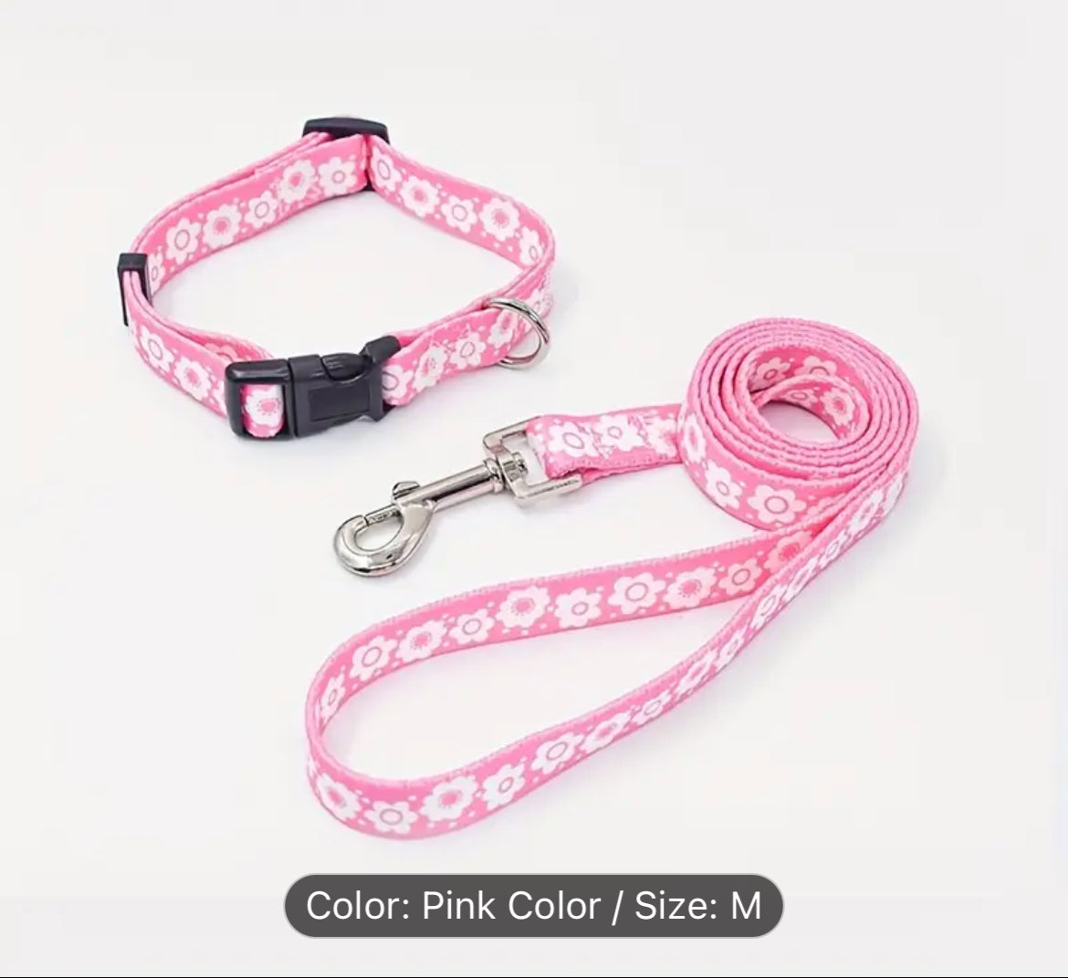 Collar and Leash set