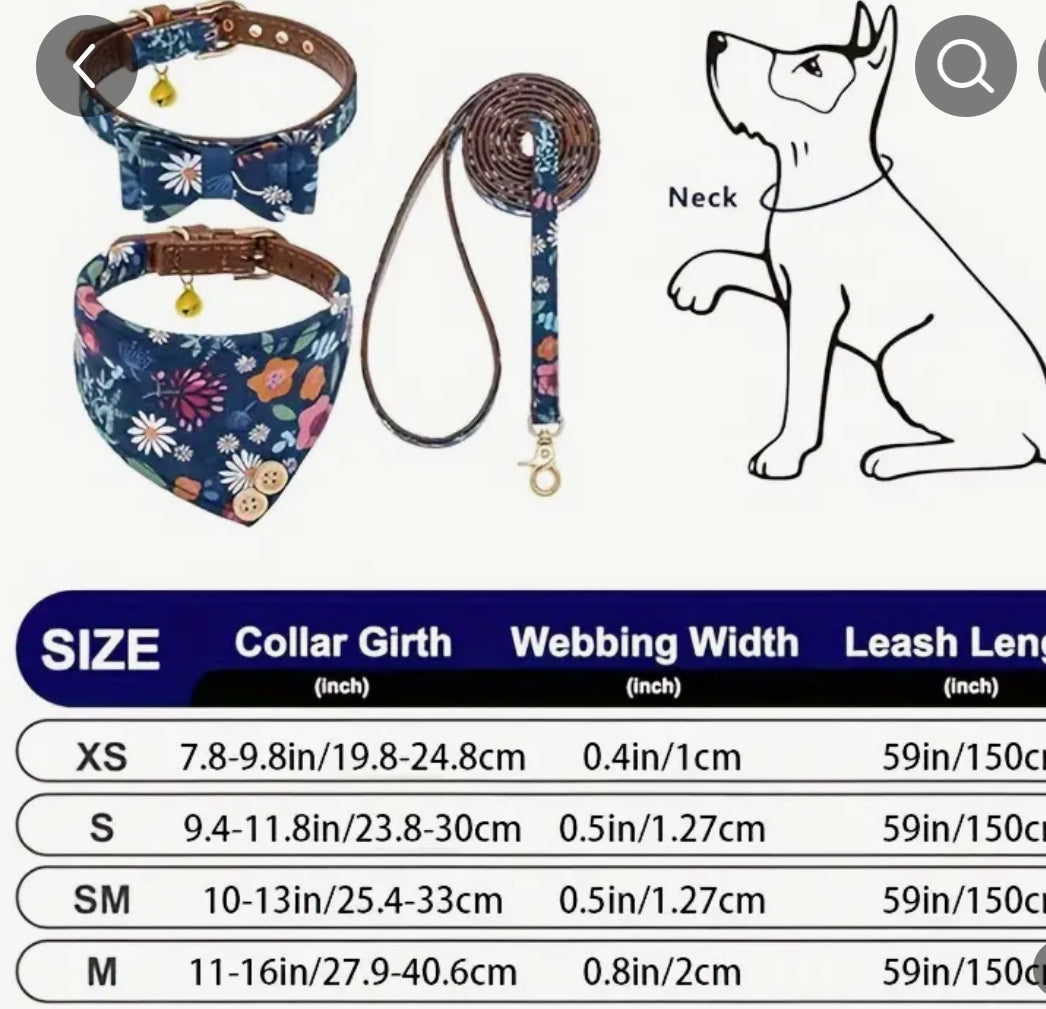 Bandana, Collar and Leash Set