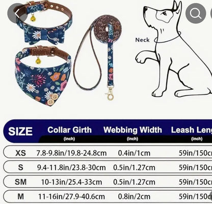 Bandana, Collar and Leash Set